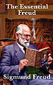 The book cover I painted for "The Essential Freud" from Wilder Publications. It was fun to research the details of Freud's original office in Vienna to get information about the carpets, his famous couch, the pillows on that couch and even the art on his walls, just seen at the edge of the cover. As I was finishing the painting, I almost neglected to research and include his wedding ring which had a large, dark green stone, and was worn on the fourth finger of his right hand, as was a Central and Eastern European Jewish custom. A fun painting to do. I liked playing with the "picture-within-a-picture" idea.